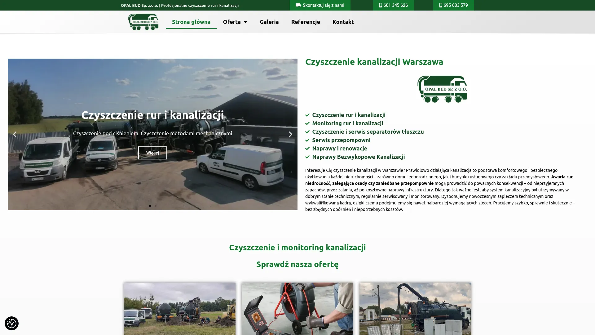 Zrzut ekranu opalbud.pl