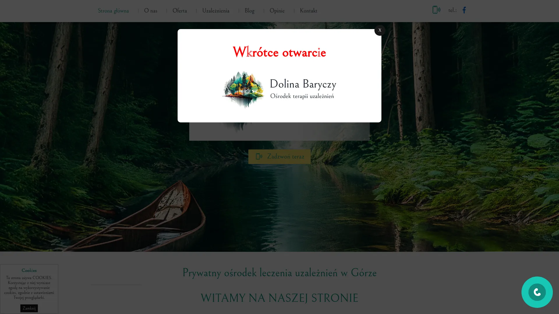 Zrzut ekranu www.terapia-dolina-baryczy.pl